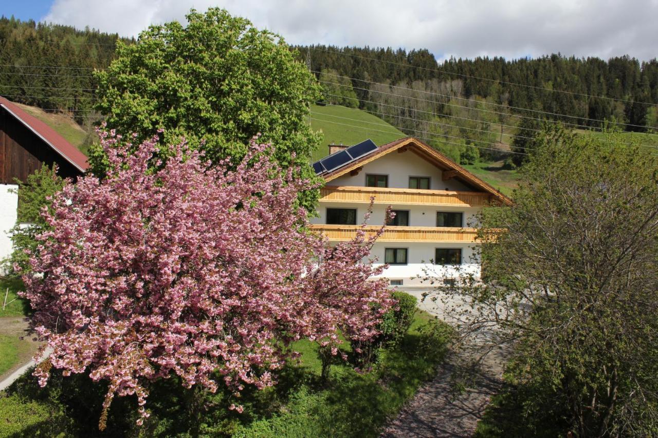 Eiblhof Διαμέρισμα Schladming Εξωτερικό φωτογραφία
